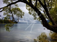 NEW ZEALAND Lake Wakatipu